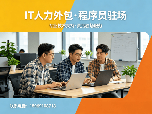 长沙Python开发程序员人力外包解决方案：破解企业招聘难题的高效选择