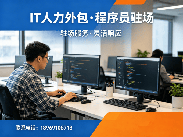 成都IT人力外包解决方案：.NET开发程序员或工程师驻场服务助力企业高效发展