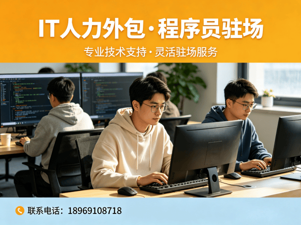 成都IT人力外包解决方案：Go开发程序员驻场服务，高效解决企业技术人才缺口