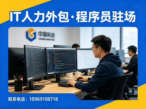 天津IT人力外包解决方案 | 爬虫工程师程序员外包服务 | 专业驻场开发