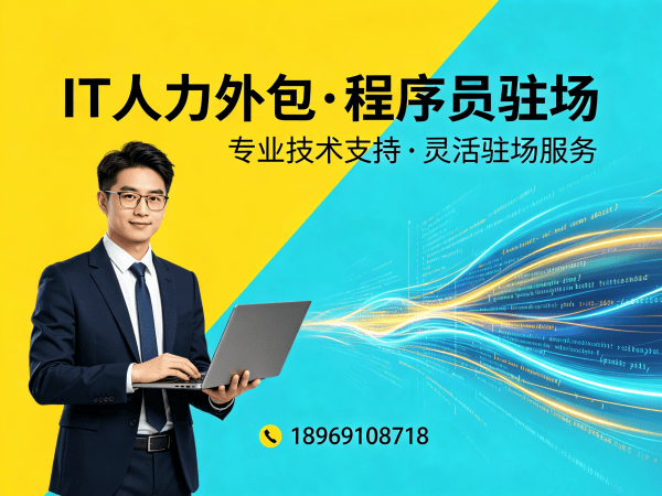 天津后端开发程序员外包解决方案 | 专业IT人力外包服务