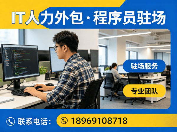 南通Go开发程序员外包解决方案:解决企业IT人才招聘难题